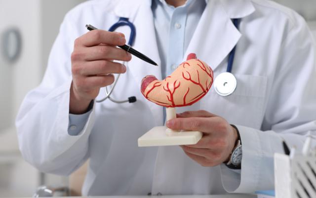 Médico enseñando cómo funcionan los remedios caseros para el ardor estomacal.