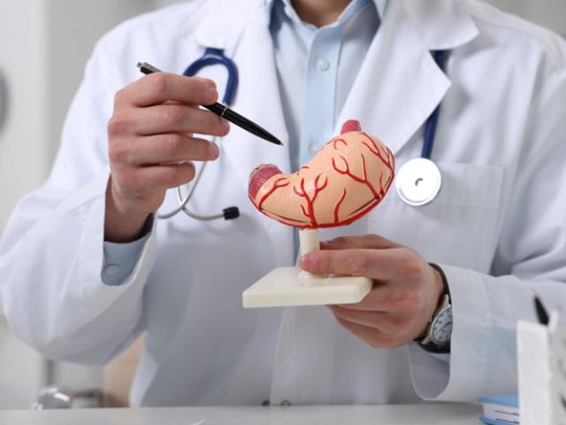 Médico enseñando cómo funcionan los remedios caseros para el ardor estomacal.