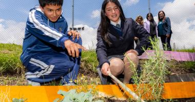 huellas de cambio: cosechando logros