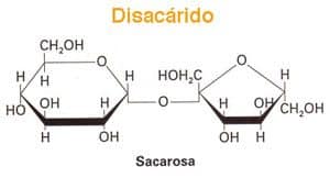 molécula sacarosa