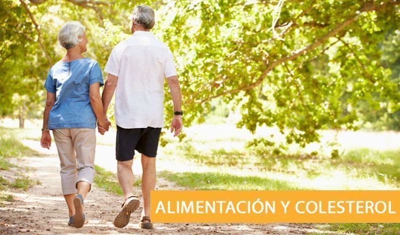 alimentación y salud cardiovascular