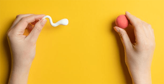 cómo favorecer un ciclo de FIV con alimentación