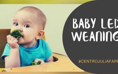 Baby Led Weaning – Alimentación complementaria del bebé