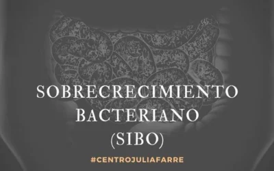 Dieta para SIBO: Alimentos Permitidos y Prohibidos para Combatir el Sobrecrecimiento Bacteriano
