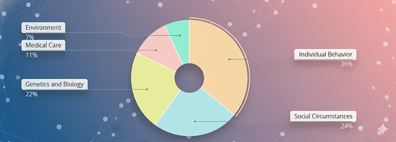 factores determinantes de la salud